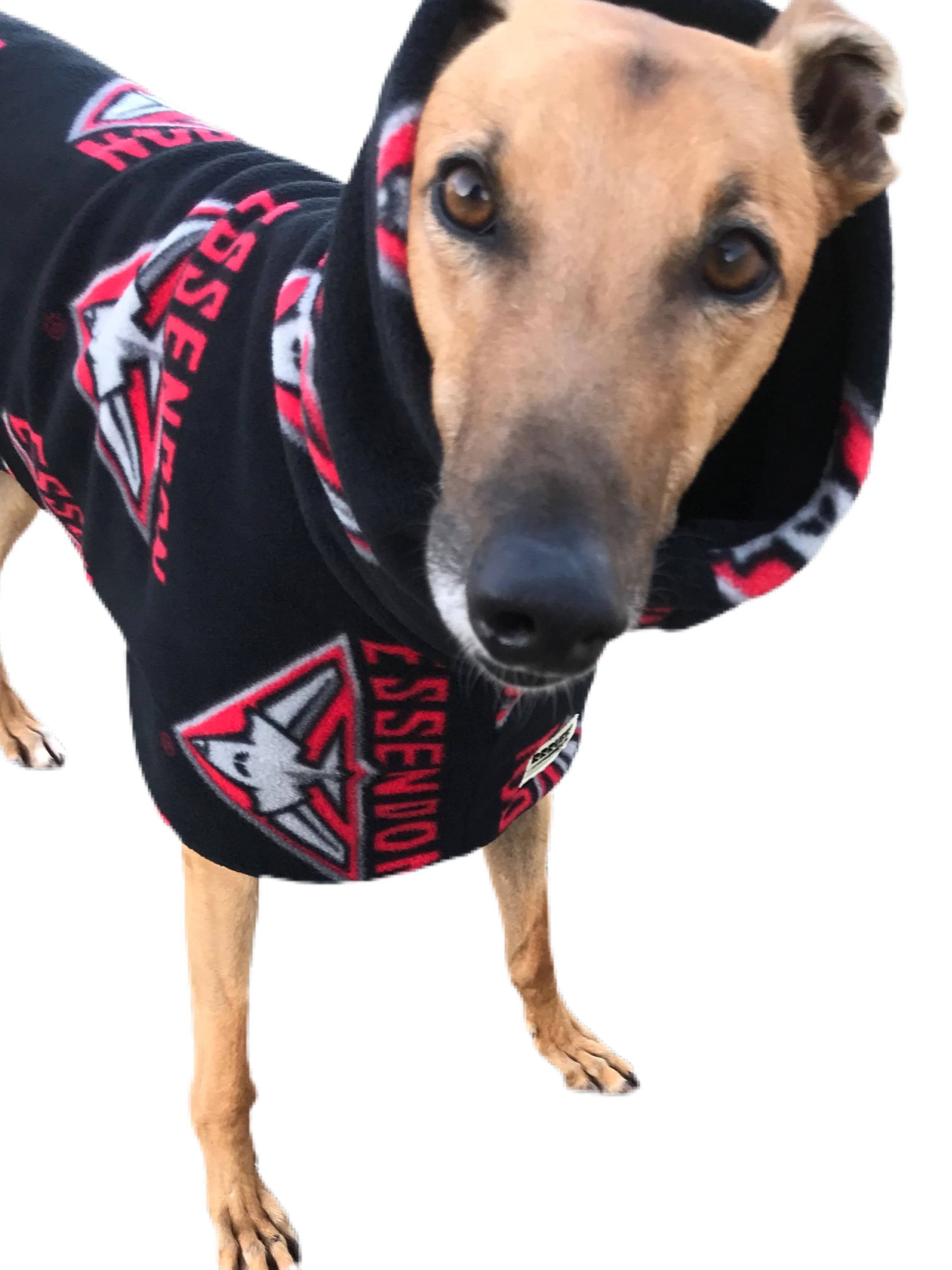 AFL Bombers inspired greyhound coat deluxe style double polar fleece washable