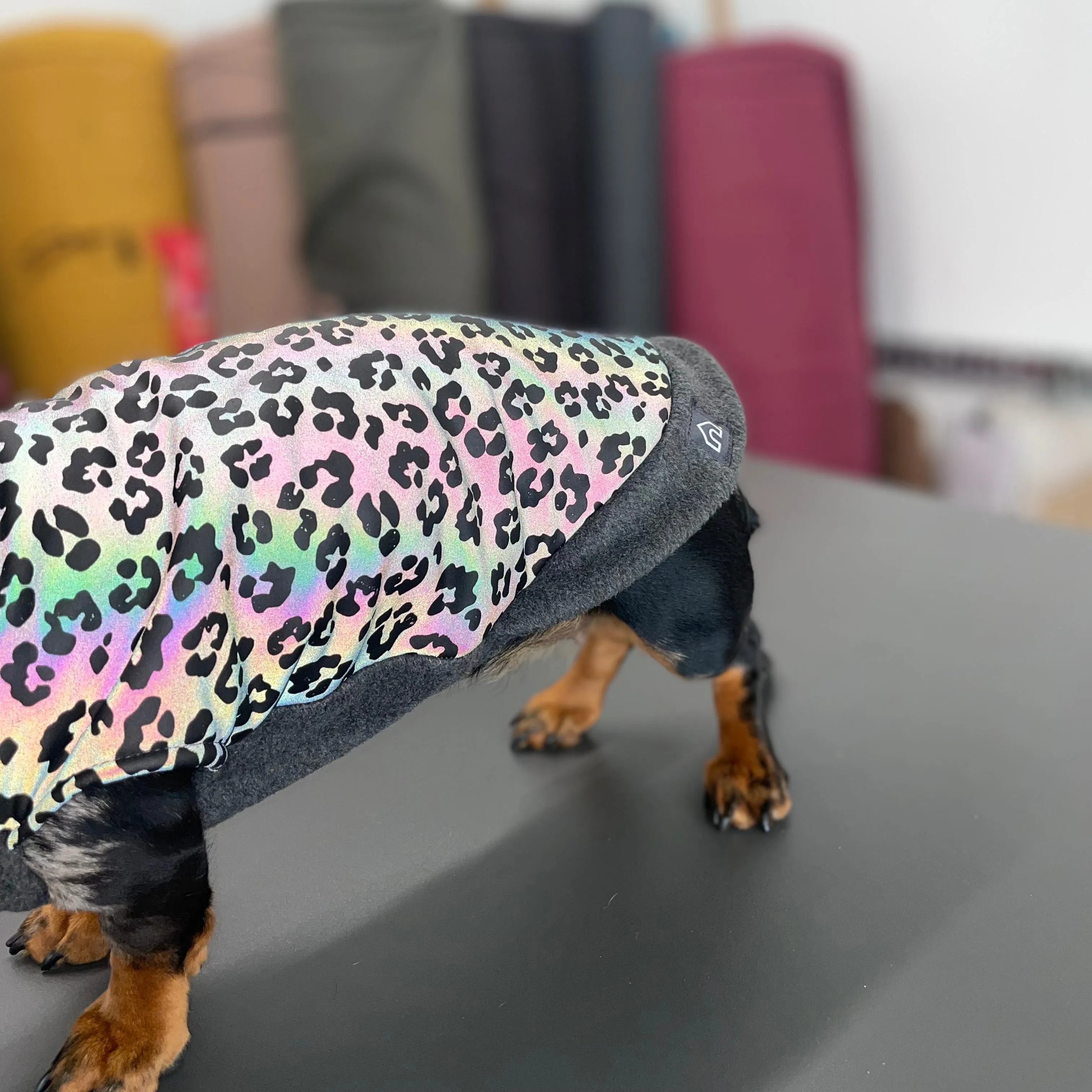 Dachshund Fleece Jumper with Reflective Back