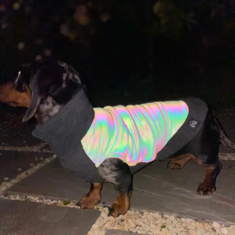 Dachshund Fleece Jumper with Reflective Back