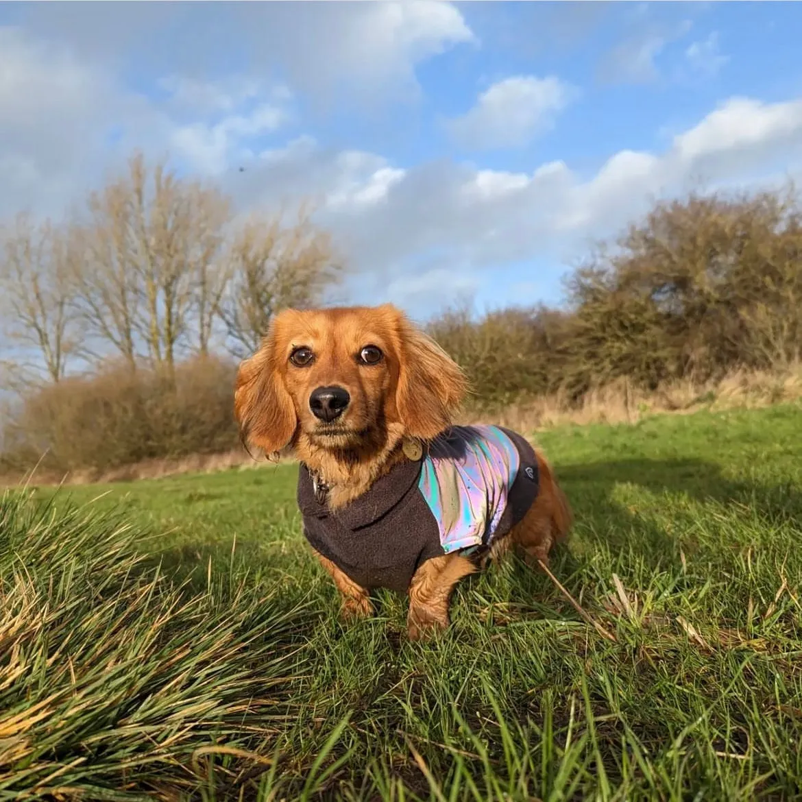 Dachshund Fleece Jumper with Reflective Back