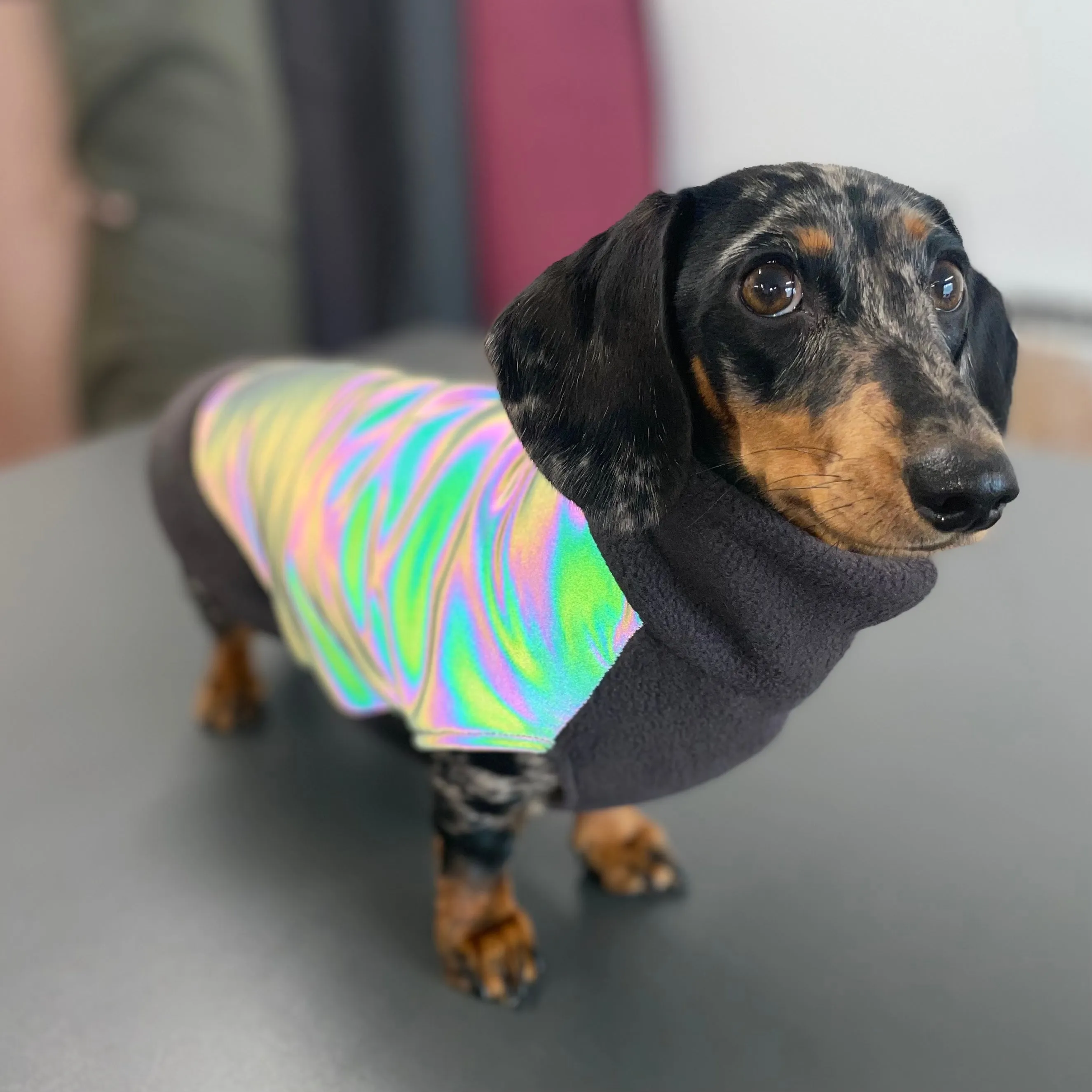 Dachshund Fleece Jumper with Reflective Back