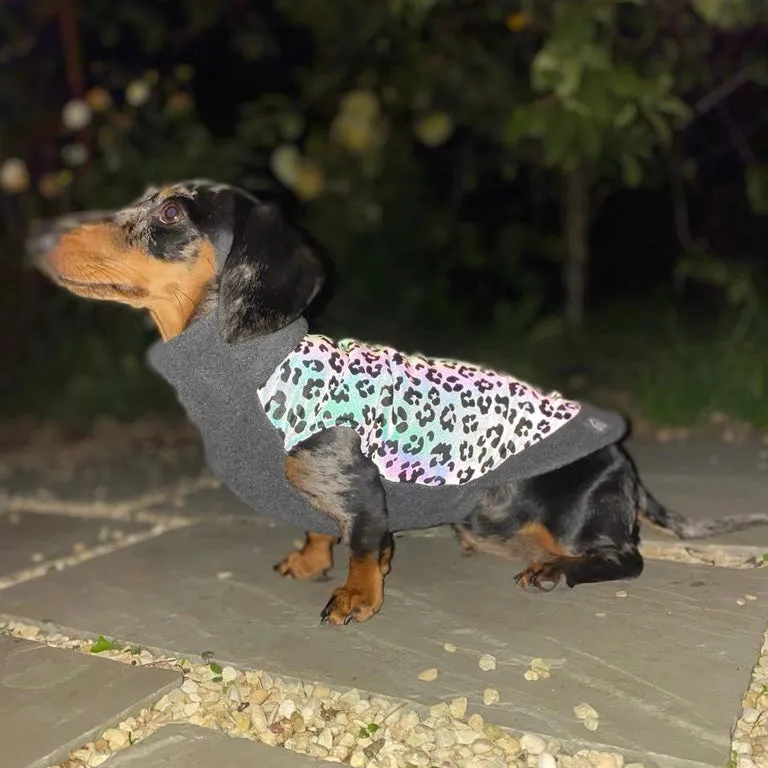 Dachshund Fleece Jumper with Reflective Back