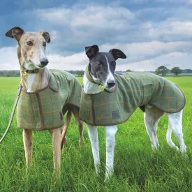 Digby & Fox Tweed Greyhound Dog Coat