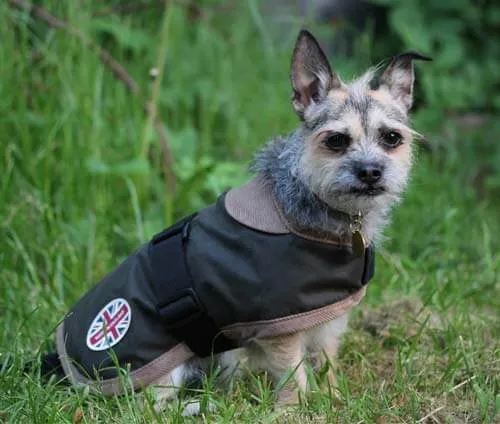 Gor Pets Edinburgh Wax Dog Coat