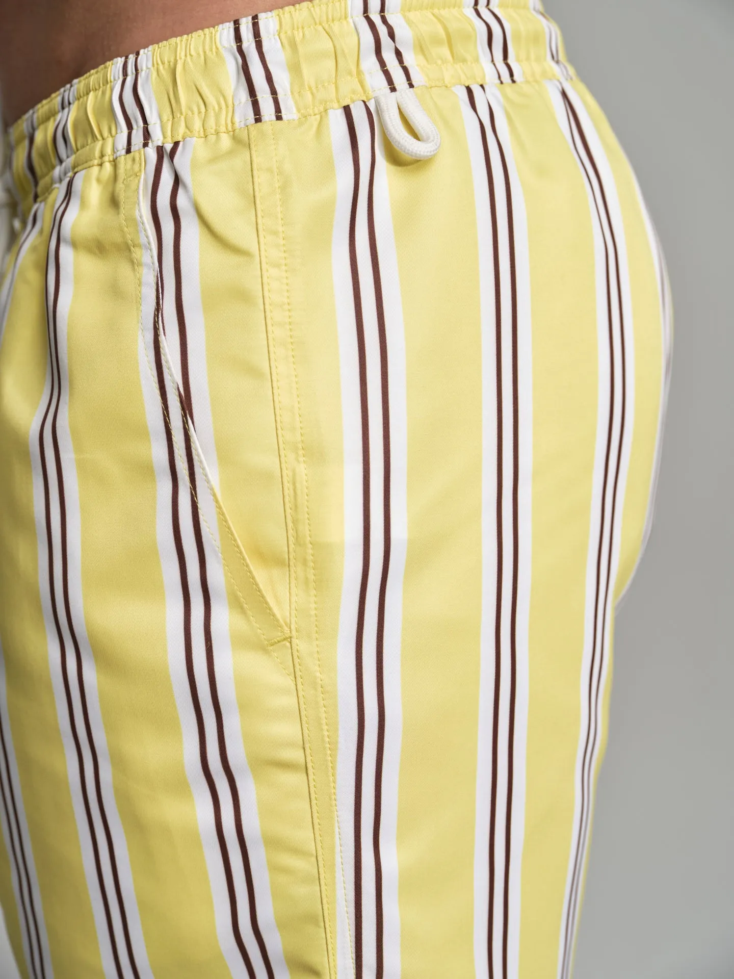 Havana Collection striped swim shorts