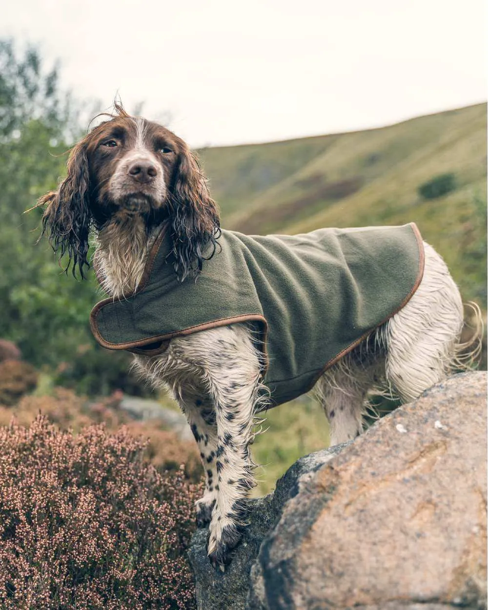 Jack Pyke Fleece Dog Coat