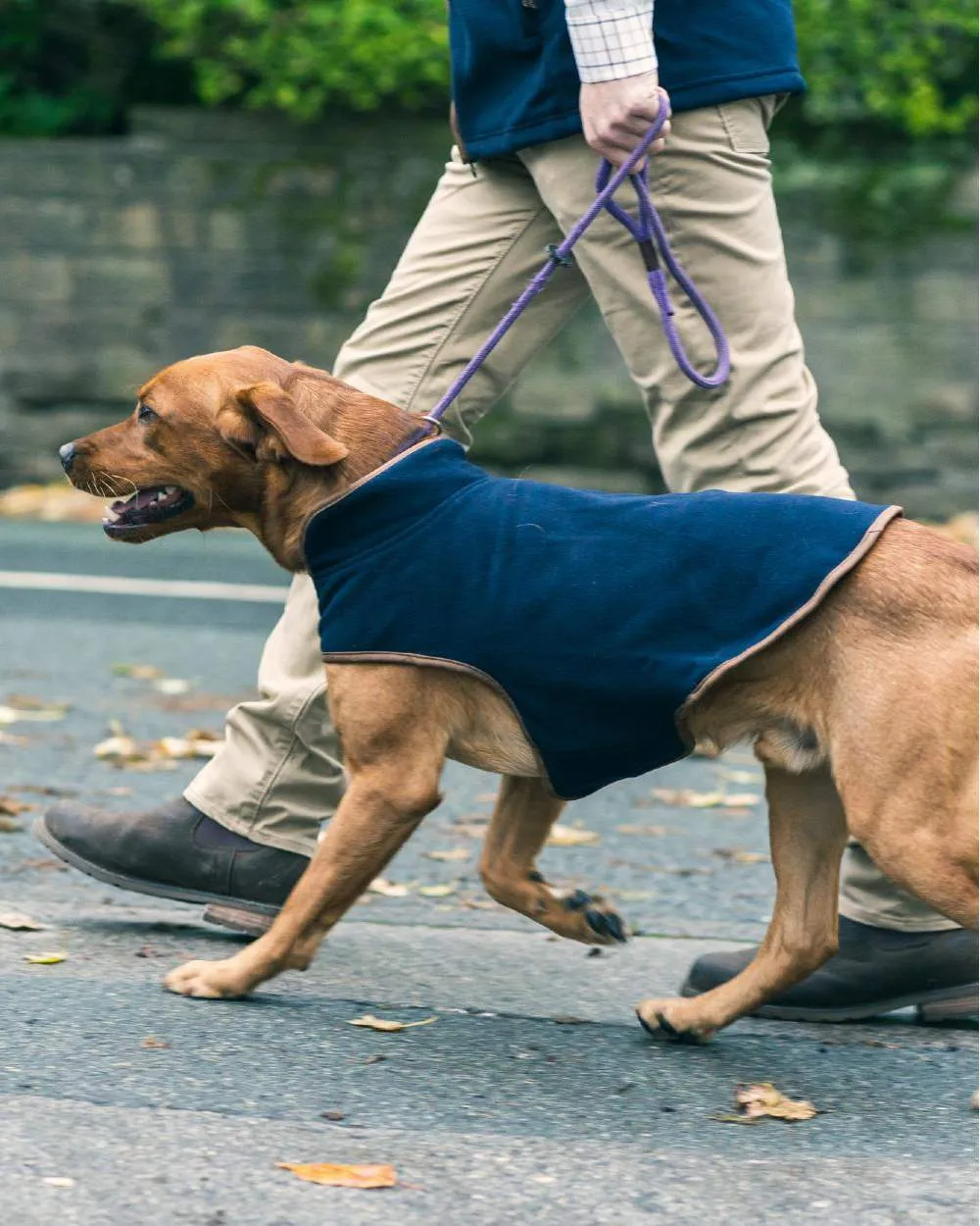 Jack Pyke Fleece Dog Coat