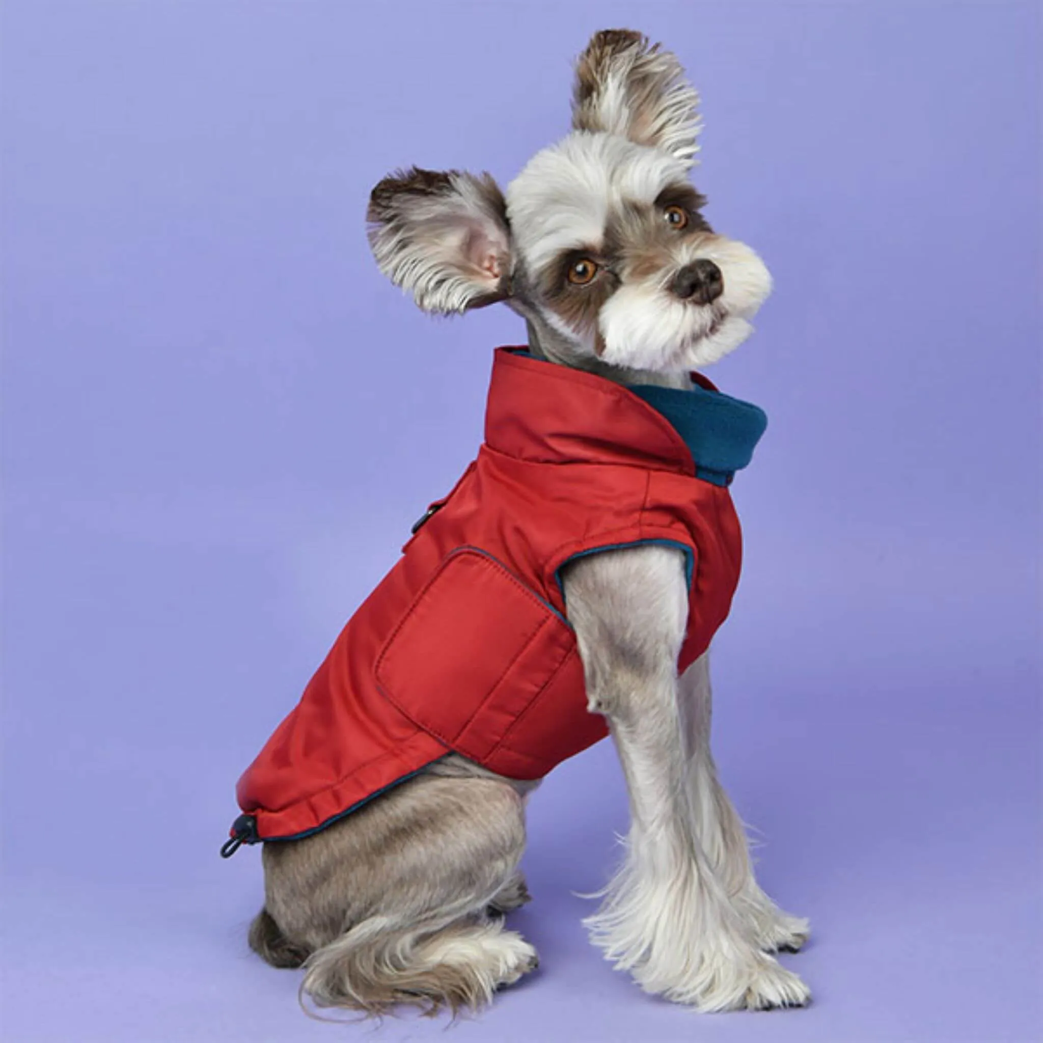 Tomas Winter Fleece Dog Coat with Integrated Harness