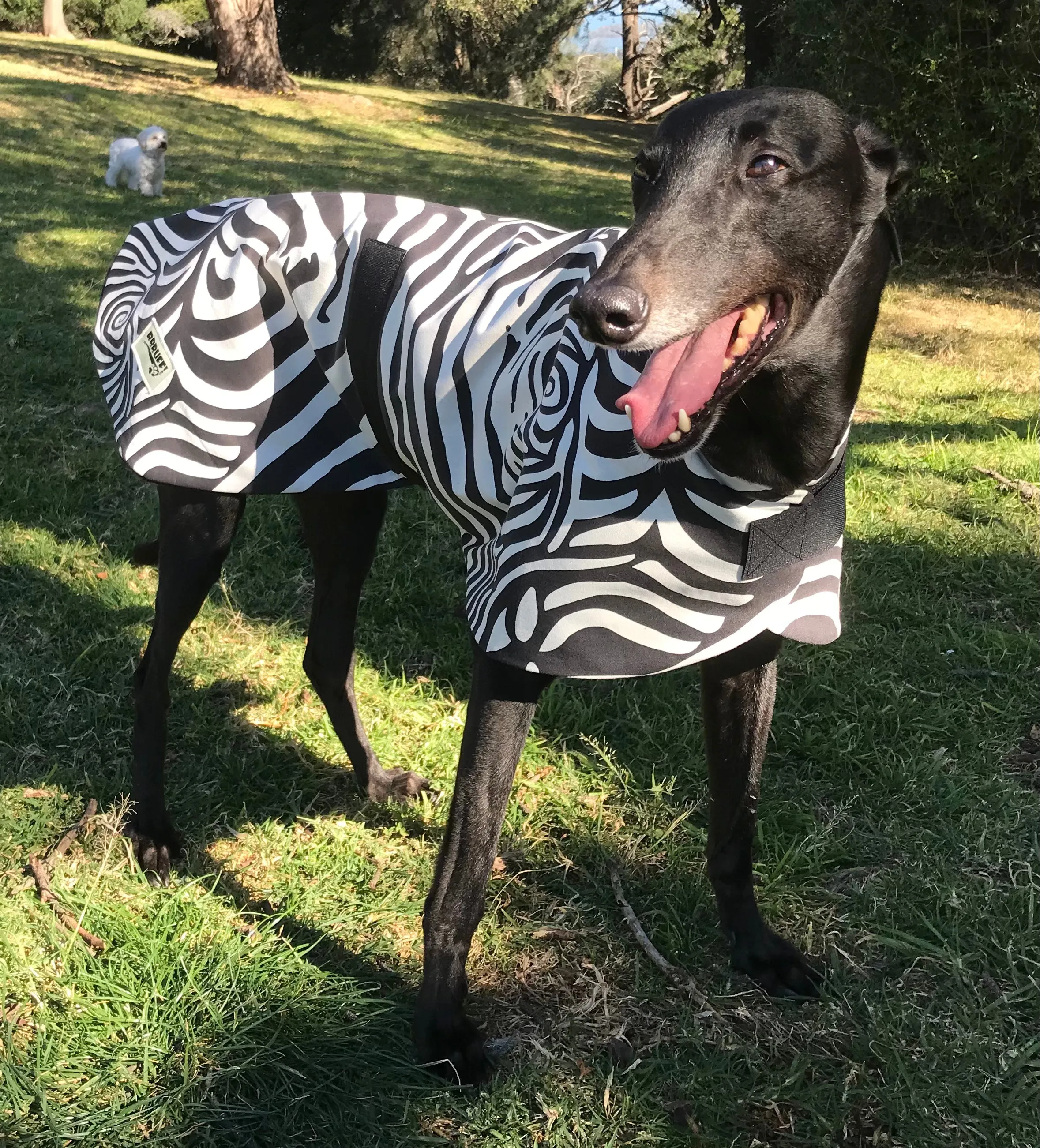 Zebra Spring Autumn range Greyhound coat in cotton & fleece fully washable